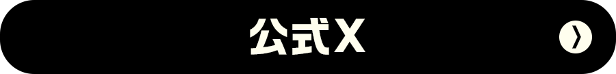 公式X