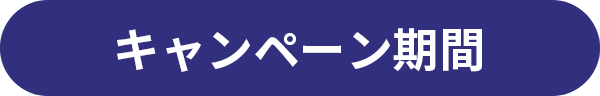 キャンペーン期間